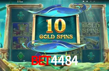 A Experiência Imersiva dos Cassinos Ao Vivo no bet4484